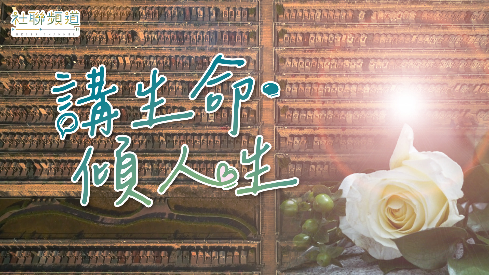 纾缓照护服务新里程：创新与关爱重塑晚晴服务